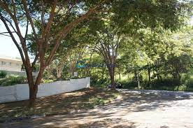 Ubs Jardim Guedala