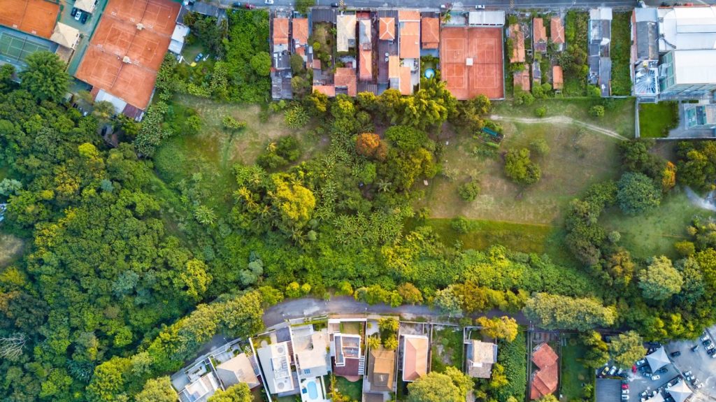 Jardim Guedala