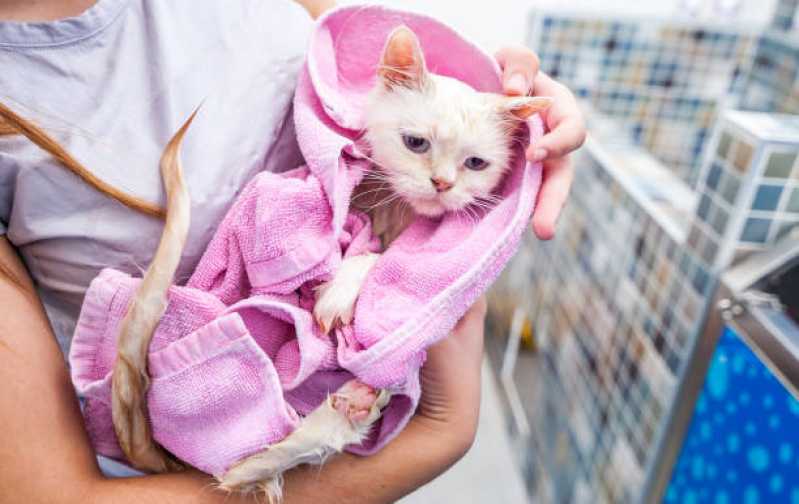 Pet Shop Jardim Guedala