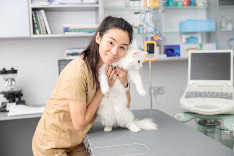 Veterinário Jardim Guedala